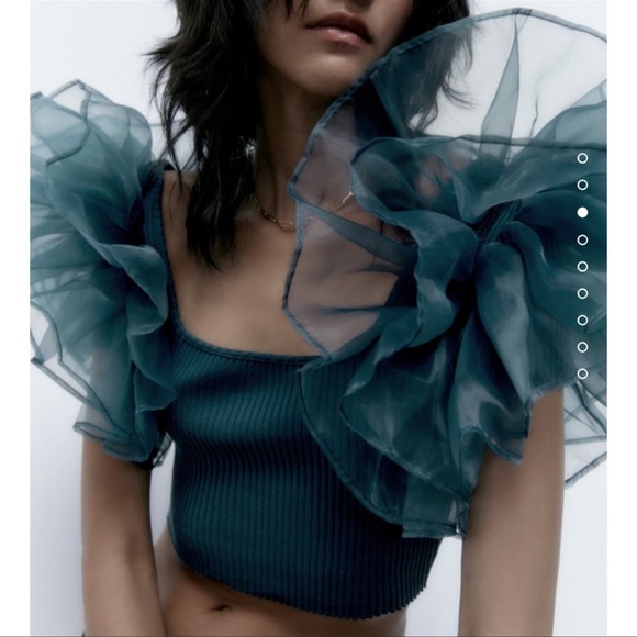 Zara Contrasting Organza Top - Picture 3 of 9